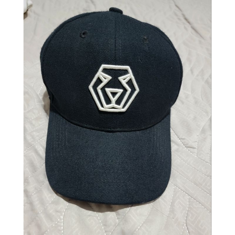 TAIGER 硬式 老帽 白老虎 電繡 永不掉色  硬挺 好看 運動 棒球帽 帽子