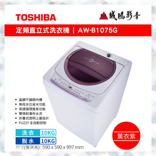 TOSHIBA東芝 10公斤 定頻洗衣機 AW-B1075G 歡迎議價
