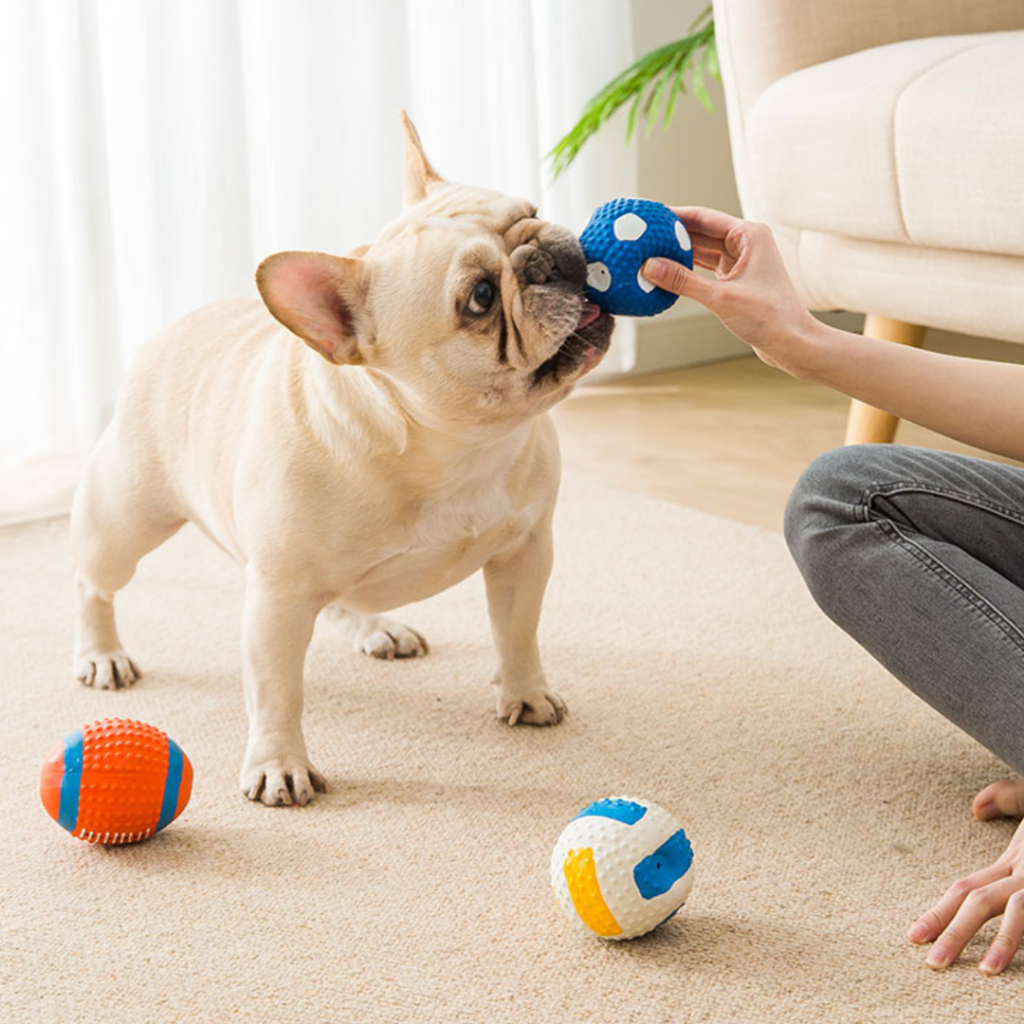 現貨【寵物乳膠玩具】寵物球 乳膠球 玩具球 足球 橄欖球 訓練狗狗 寵物用品 寵物玩具 狗狗玩具球 發聲玩具