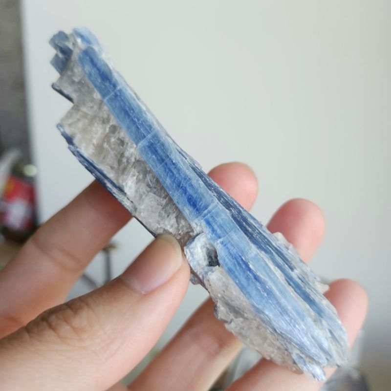 【礦職先生-Maggo桑】藍晶石原礦 石英共生 多根晶體 巴西產地