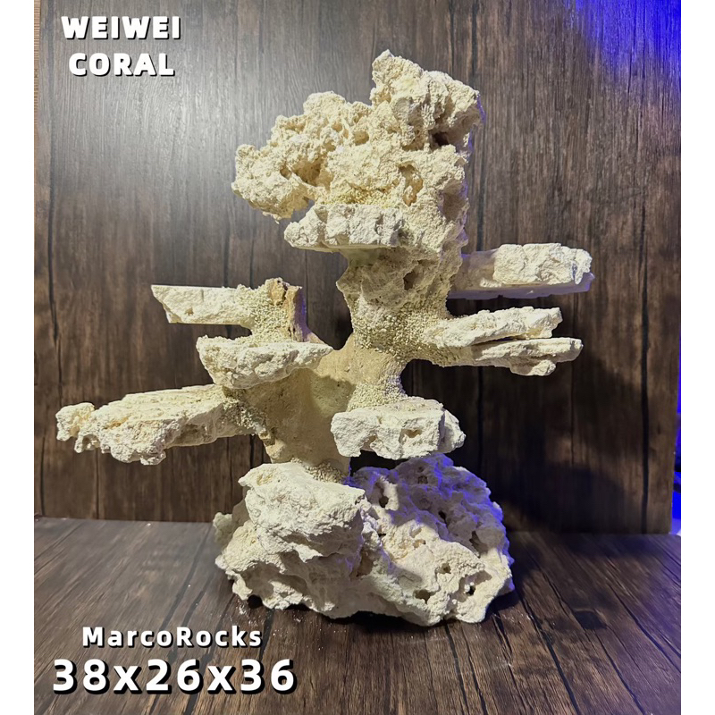 免運-*【美國🇺🇸Marco Rocks 】薇薇珊瑚WEIWEICORAL 海水缸造景、咕咾石造景(38x26x36）