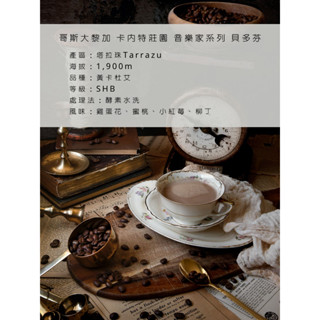 IN 82 | 音樂家系列 哥斯大黎加 貝多芬 自家烘焙 工作室烘焙 藝伎咖啡 單品咖啡 手沖咖啡 精品咖啡