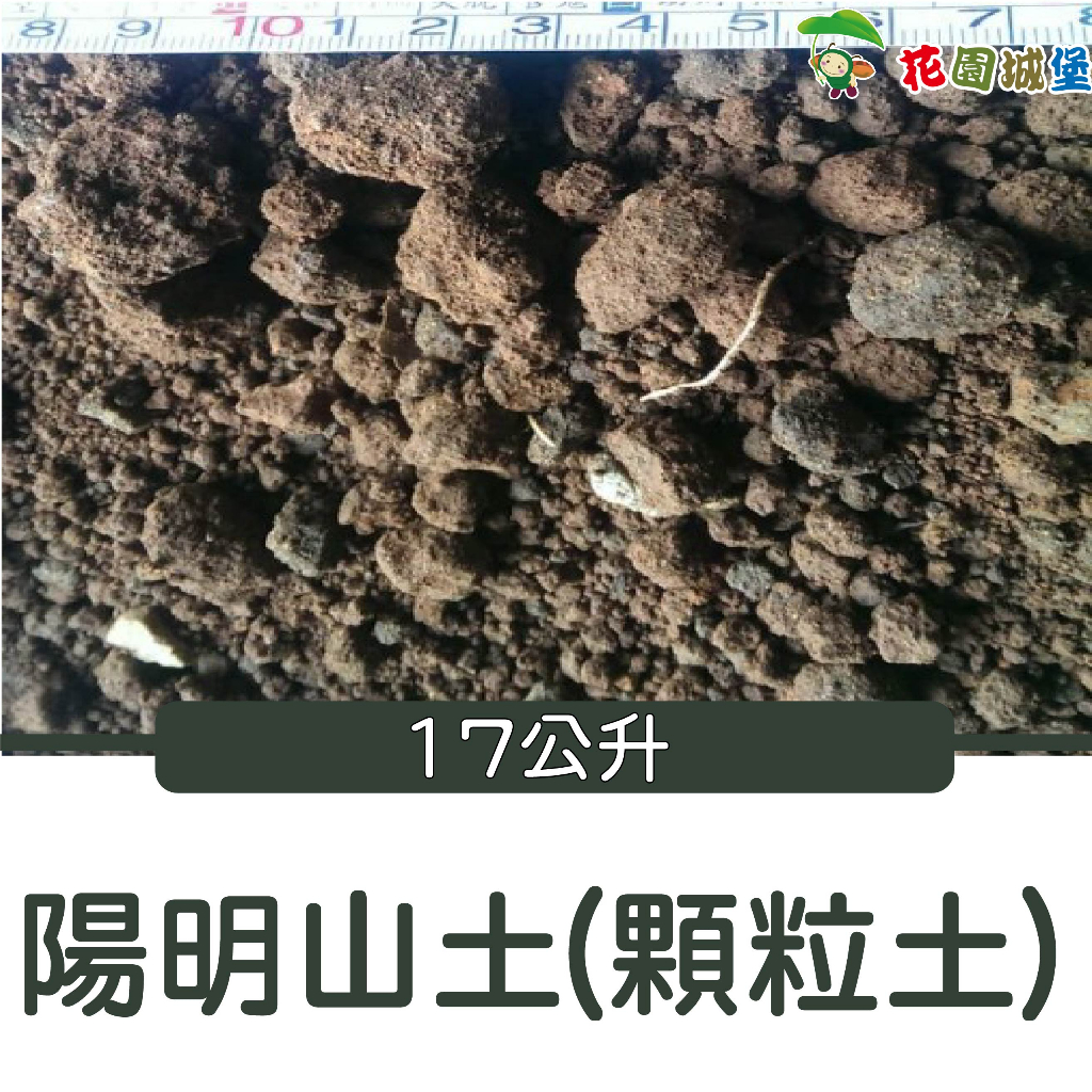 花園 陽明山土(顆粒土)  約17公升  天然開採篩選 櫻花 茶花 木本 花卉 未經加工 盆景 多肉 東洋蘭【花園城堡】