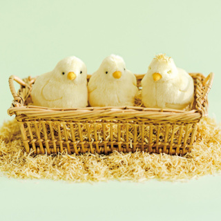 FELISSIMO 授權販售品牌館 【YOU+MORE!】黃毛小雞造型收納零錢包