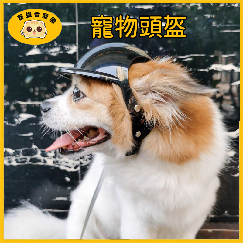 寵物狗狗機車泰迪金毛柯基邊牧小狗中大型可露出耳朵安全帽機車帽