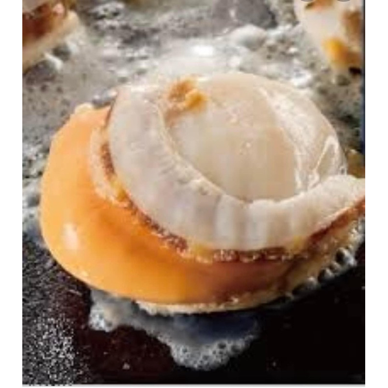 生食等級北海道帶卵帆立貝-（先聊聊再下單）《//Jason冷凍食品批發》