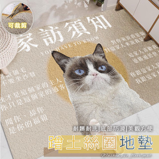 𝑩𝒆𝒚𝒂 ! 現貨+預購 玄關絲圈地墊 絲圈地墊 門口地墊 刮泥地墊 大門地墊 進門地墊 刮泥地墊 PVC地墊 防滑地墊