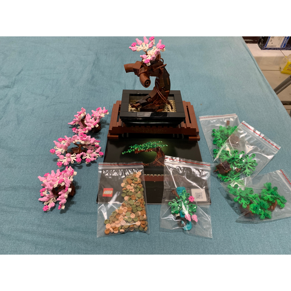 【二手】LEGO 10281 盆栽 藝術系列 樂高盒組