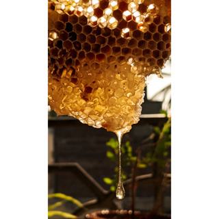 豐合蜂園蜂蜜/宜蘭百花蜜/農藥抗生素未檢出/符合蜂蜜國家標準