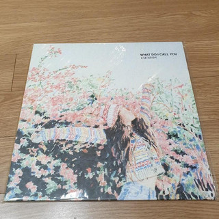 現貨💚太妍 Taeyeon 迷你四輯 What Do I Call You 限量黑膠唱片 LP 專輯 迷你4輯 白膠