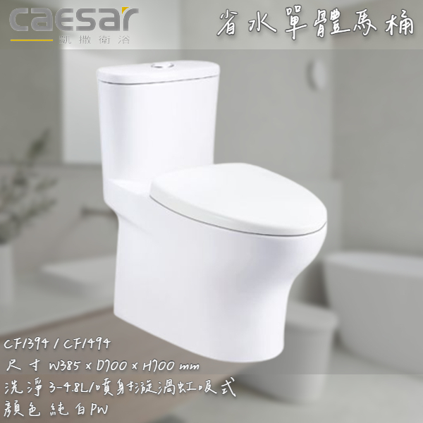 🔨 實體店面 可代客安裝 CAESAR 凱撒衛浴 省水單體馬桶 CF1394 CF1494 實體店面 可代客安裝