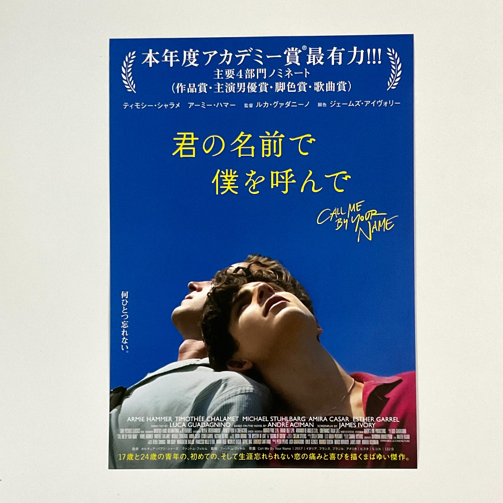 《以你的名字呼喚我》提摩西夏勒梅 艾米漢默 日版電影DM 日本 電影 宣傳單 海報 DM B5 小海報 盧卡格達戈尼諾