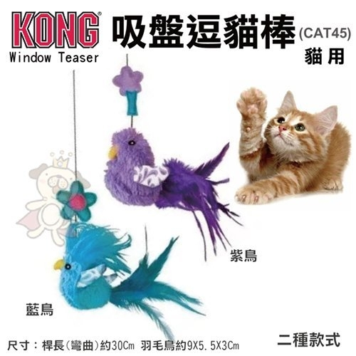 ✨橘貓MISO✨❤️現貨❤️美國KONG  Window Teaser吸盤逗貓棒(CAT45) 隨機款貓玩具 貓咪最愛款