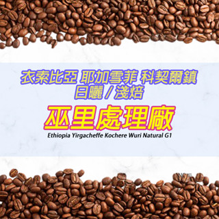 【衣索比亞 耶加雪菲 巫裡G1】日曬處理法 / 淺烘焙 咖啡豆- Neo Cafe