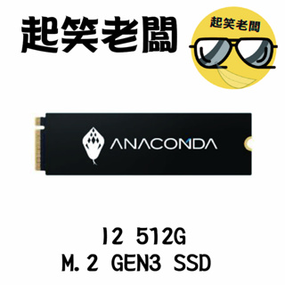 【全新含稅】ANACOMDA 巨蟒 i2 512G M.2 PCIe Gen3x4 NVMe SSD固態硬碟 三年保
