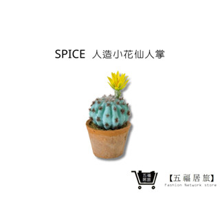 【SPICE】人造小花仙人掌 人造多肉植物 多肉擺飾 辦公室植栽 懶人綠植 居家裝飾 假盆栽｜五福居家生活館