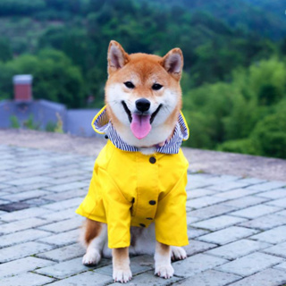 寵物雨衣 狗雨衣 狗狗雨衣 柴犬雨衣 防暴雨 大型犬雨衣 衝鋒衣 寵物風衣 狗狗風衣 柴犬衝鋒衣