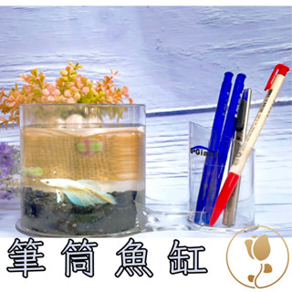 【藝起園夢】魚缸 迷你魚缸 塑膠魚缸 小魚缸 鬥魚生態缸 筆筒魚缸 小型桌面魚缸 水族箱 觀賞魚 辦公室小物