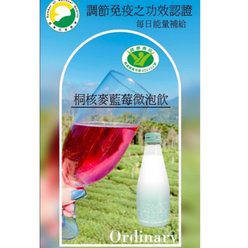 ❤️一箱賣家宅配免運🫐桐核麥藍莓微氣泡飲