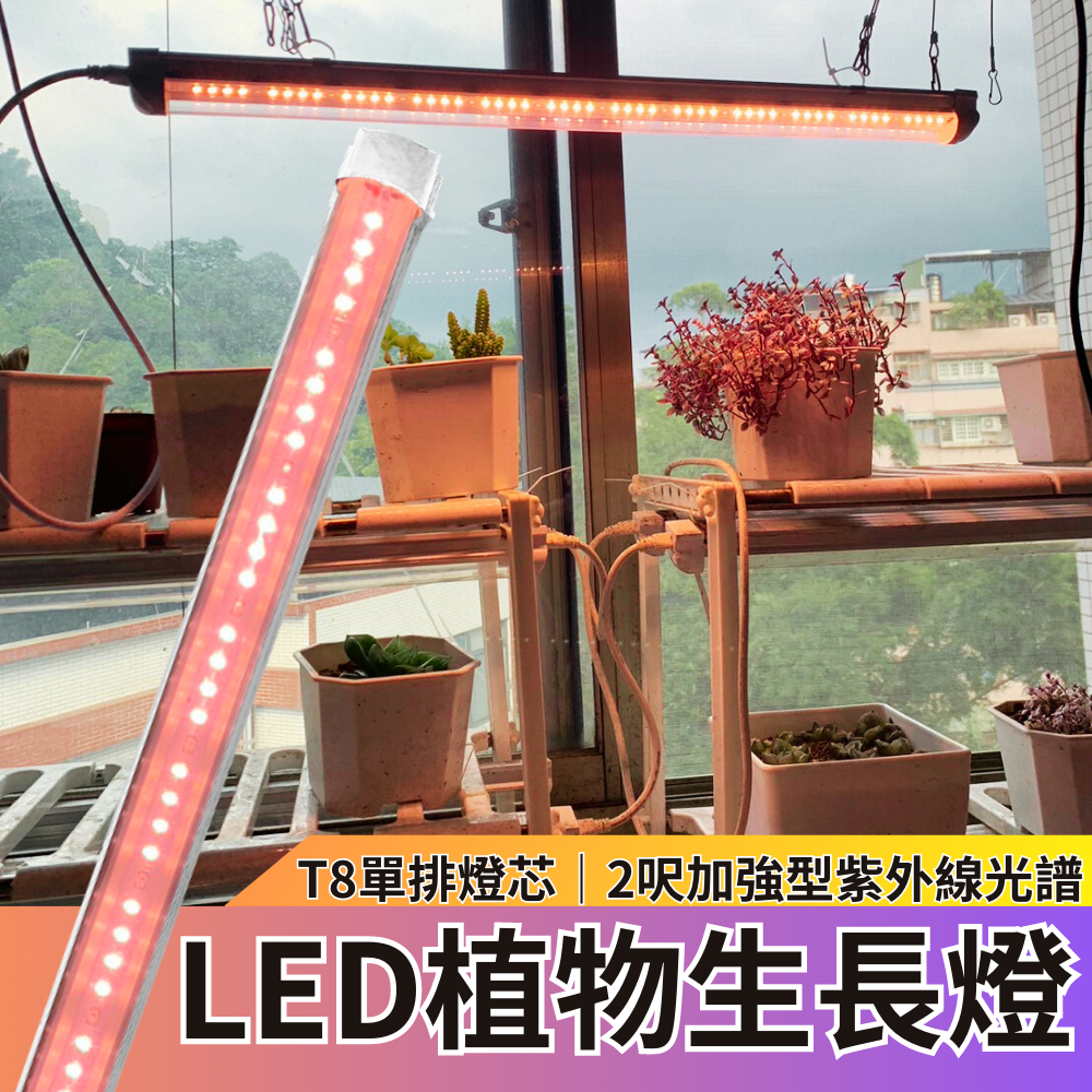 【君沛】LED植物燈 T8植物燈管 2呎12.5W 加強型紫外線 植物生長燈 插頭式設計免燈管支架