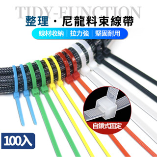 寶利威爾(自鎖式)尼龍束線帶 10~50公分 100入 工業級紮線帶 綁線帶 塑膠束帶POLYWELL臺灣現貨