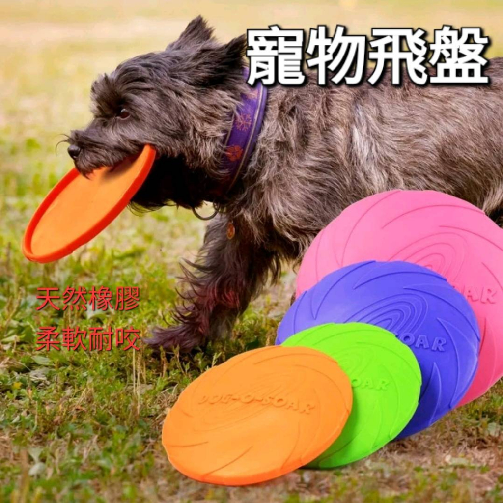 軟式飛盤 寵物飛盤 戶外飛盤 寵物互動 狗玩具