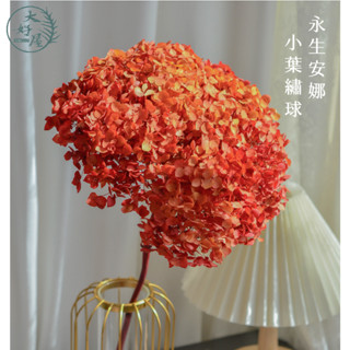 大好屋 現貨 繡球 永生繡球 永生花 不凋繡球 花材 乾燥花DIY花材 拍攝道具 夢幻漸變繡球 批發零售 花藝繡球