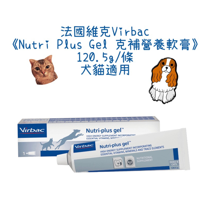 🔥醫院直營🔥 法國維克Virbac《Nutri Plus Gel 克補營養軟膏》120.5g/條 犬貓適用