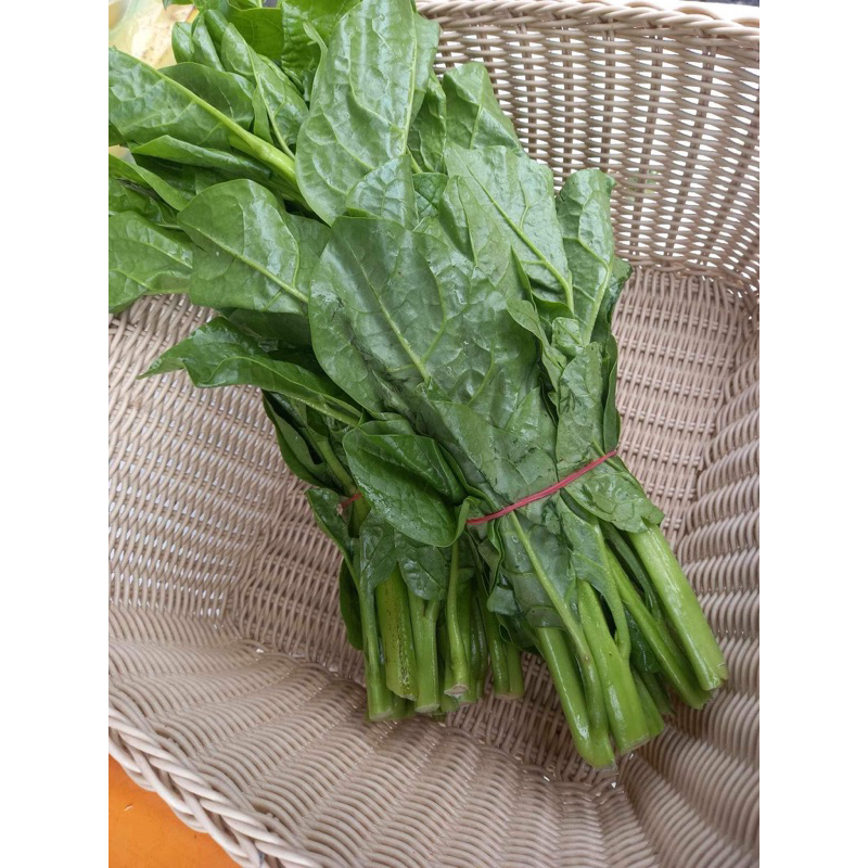 「維特蔬果-批發配送」皇宮菜 malabar spinach