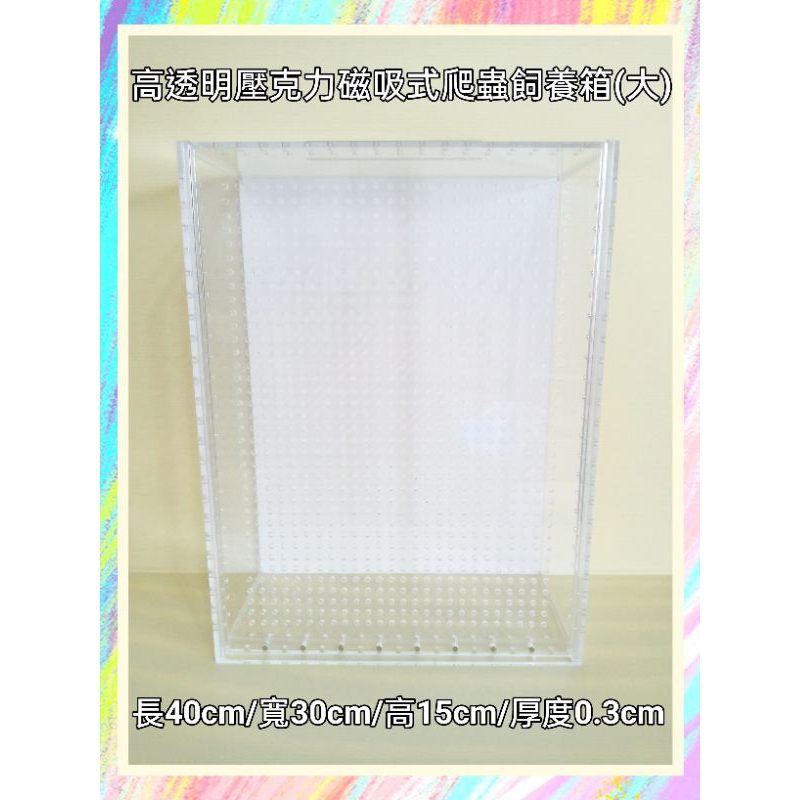 ★爬蟲新樂園★[台灣現貨] 高透明壓克力磁吸式爬蟲飼養箱 飼養盒 守宮 蜘蛛 蜥蜴 蛇 角蛙 蠑螈