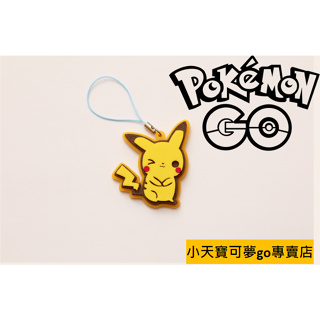 Pokemon GO 寶可夢 客製化服務