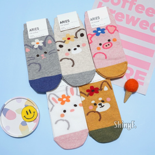 韓國襪子 動物 花瓣系列 可愛 兔兔貓咪熊熊柴犬小豬 短襪 女襪 韓襪 韓國襪 襪子 現貨