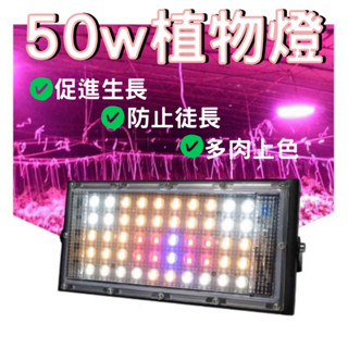 植物燈 50W 100W LED植物生長燈【台灣現貨】多肉 防水植物燈 促進植物生長 多肉植物燈 植物補光燈 110V