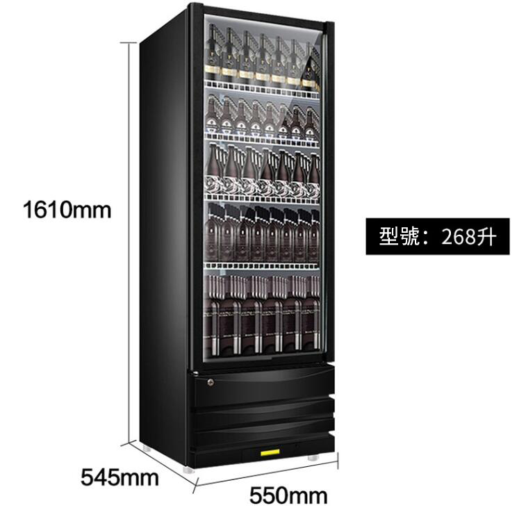 冷藏櫃冰箱酒水展示櫃飲料櫃保險櫃製冷酒櫃立式玻璃門220V