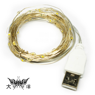 防水LED銅線燈/螢火蟲燈串 銅線燈 5米50燈/10米100燈 暖色 彩色 USB款 DY017B DY018B