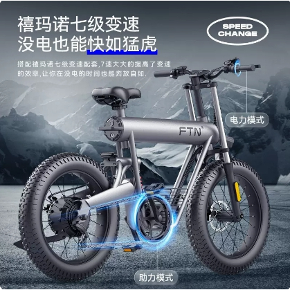 【翔哥正品團購】全新 FTN T20  20寸胎 電動自行車