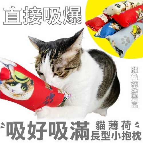 寵喵樂 長型小抱枕玩具1029 可添加貓草薄荷 貓薄荷 耐咬 耐磨 貓玩具 隨機出貨