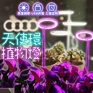 含稅出貨🔥天使環植物燈 植物生長燈 植物日照燈 植物燈管 多肉燈 補光燈 夾燈 燈管 盆栽燈 紅藍燈 生長燈 水草燈