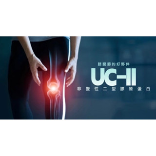 UC-II 非變性二型膠原蛋白 UC2 UCII UC-2 膠原蛋白粉 葡萄糖胺 軟骨素 鯊魚軟骨素 雞軟骨 關節退化