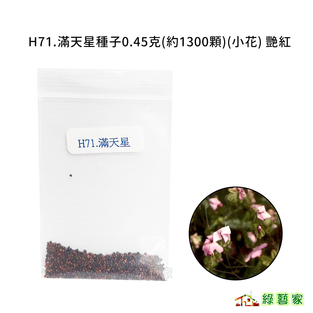 H71.滿天星種子0.45克(約1300顆)(小花) 艷紅//用途：盆栽、吊盆。花卉 花類種子【綠藝家】