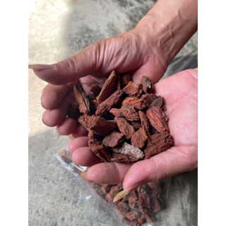 ［農莊園藝］印尼樹皮(松樹皮)1L 蘭花 鹿角蕨 多肉 室內植物等介質