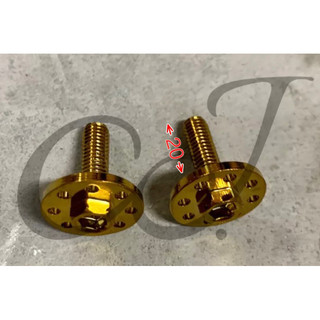 CJ screw M6 20mm螺絲 車牌螺絲 擋風板螺絲