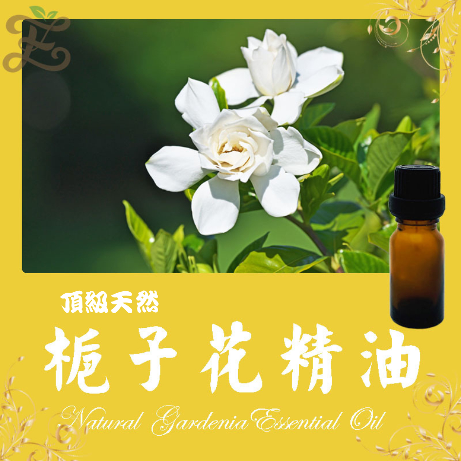 梔子花精油  頂級天然單方精油 草本提煉精華 Gardenia Essential Oil 濃郁香醇