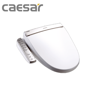【CAESAR凱撒 】逸潔電腦馬桶座，不鏽鋼噴嘴，節電，溫水，溫座，可調節水量噴嘴(TAF191)