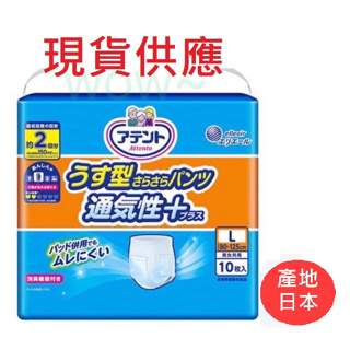 【日本製公司貨】日本大王 Attento 全新包裝 超透氣舒適復健褲 尿片 紙尿褲 成人尿褲 尿布 超商限4包