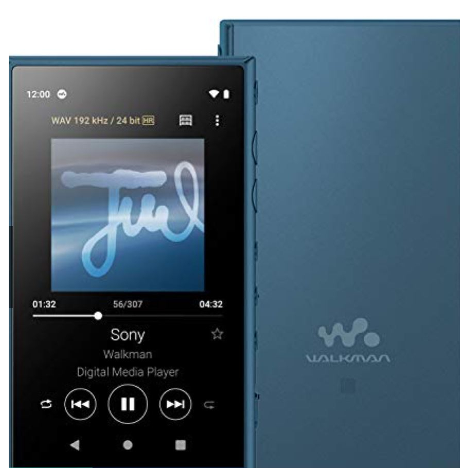 来自日本（来自日本的直接）Sony NW-A106 L Walkman 32GB A系列NW-A106