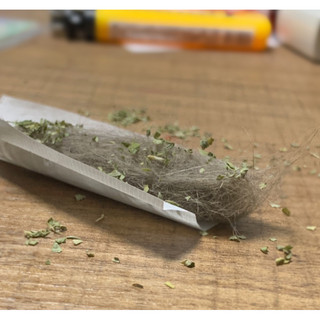 貓毛也能roll一下