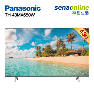 Panasonic 國際 TH-43MX650W 43型 4K Google TV顯示器 電視