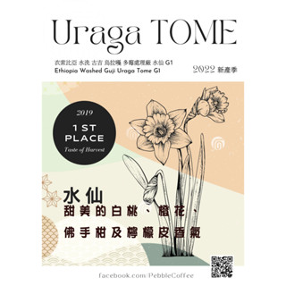 (接單嚴選烘焙) 特價促銷 水沐咖啡 衣索比亞 水洗 水仙 多莓處理廠 G1 半磅227g 淺中烘焙