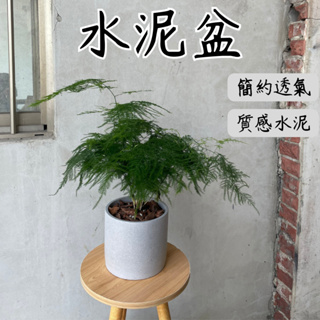 【台灣現貨-免運】水泥盆 花盆 水泥花盆 盆栽 塑膠花盆 盆栽容器 花器 陶瓷花盆 盆器 盆 大花盆 多肉花盆 09